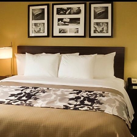 The Vue Inn Brooklyn New York Exteriör bild