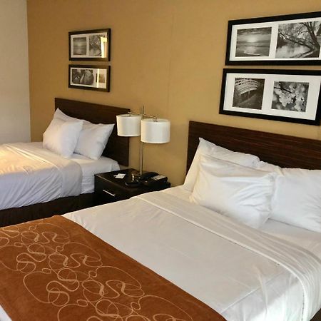 The Vue Inn Brooklyn New York Exteriör bild
